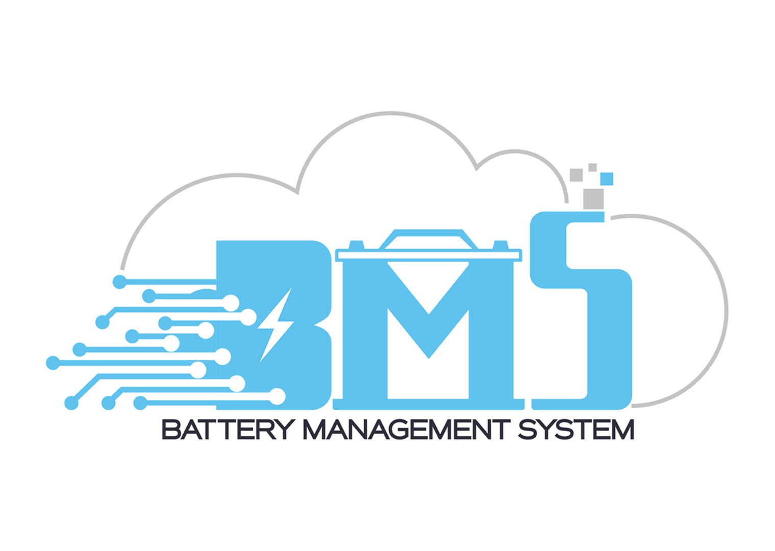Battery Management System (BMS)